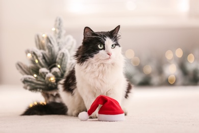 Photo of Adorable cat and Santa hat near decorative Christmas tree on blurred background