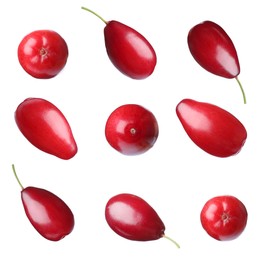 Image of Set of ripe red dogwood berries on white background