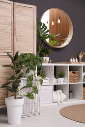 Elegant interior of modern bathroom with green plants