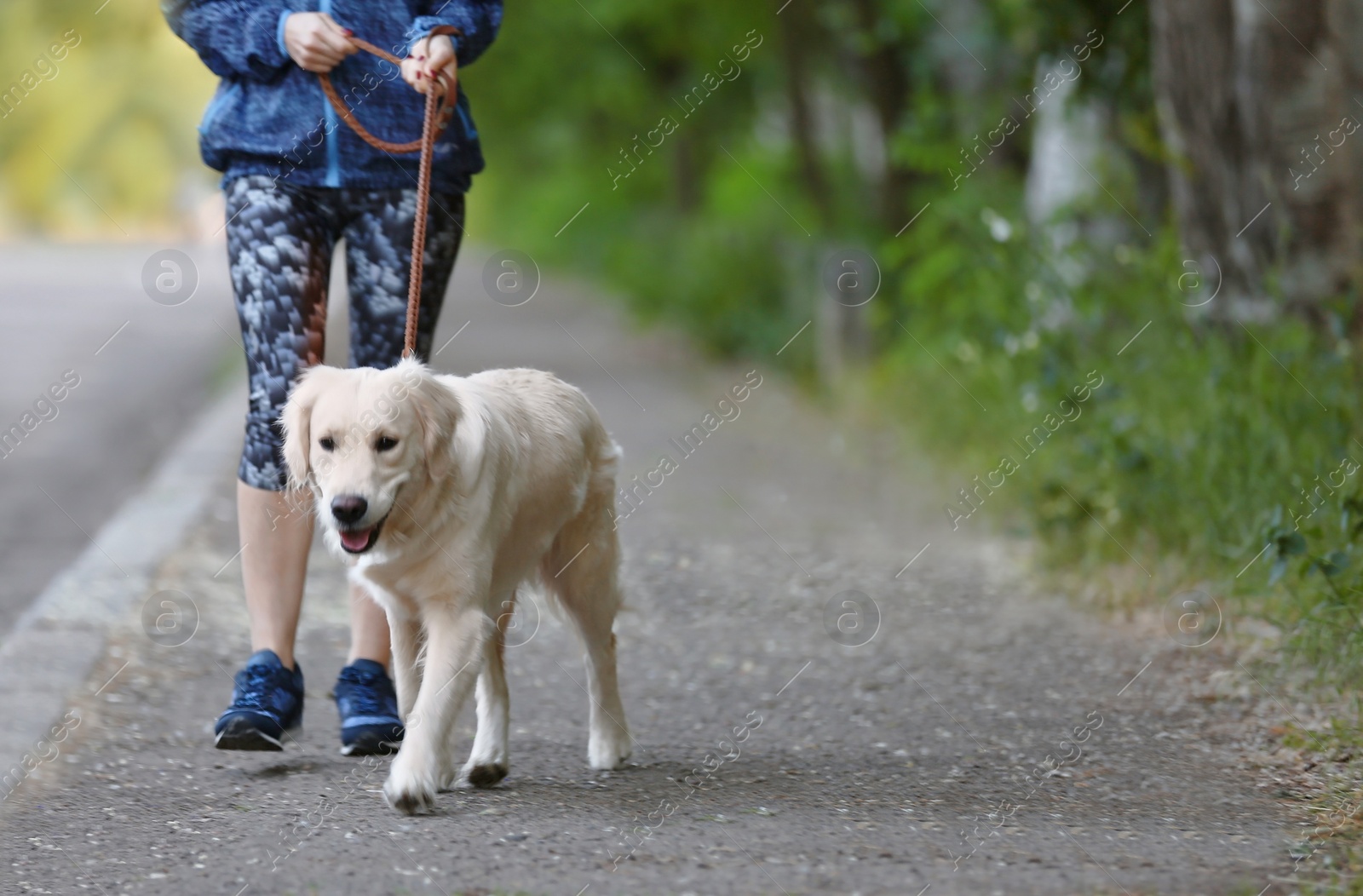 Photo of Young woman with her dog together in park. Pet care