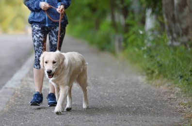 Photo of Young woman with her dog together in park. Pet care