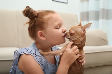 Cute little child with her Chihuahua dog at home. Adorable pet