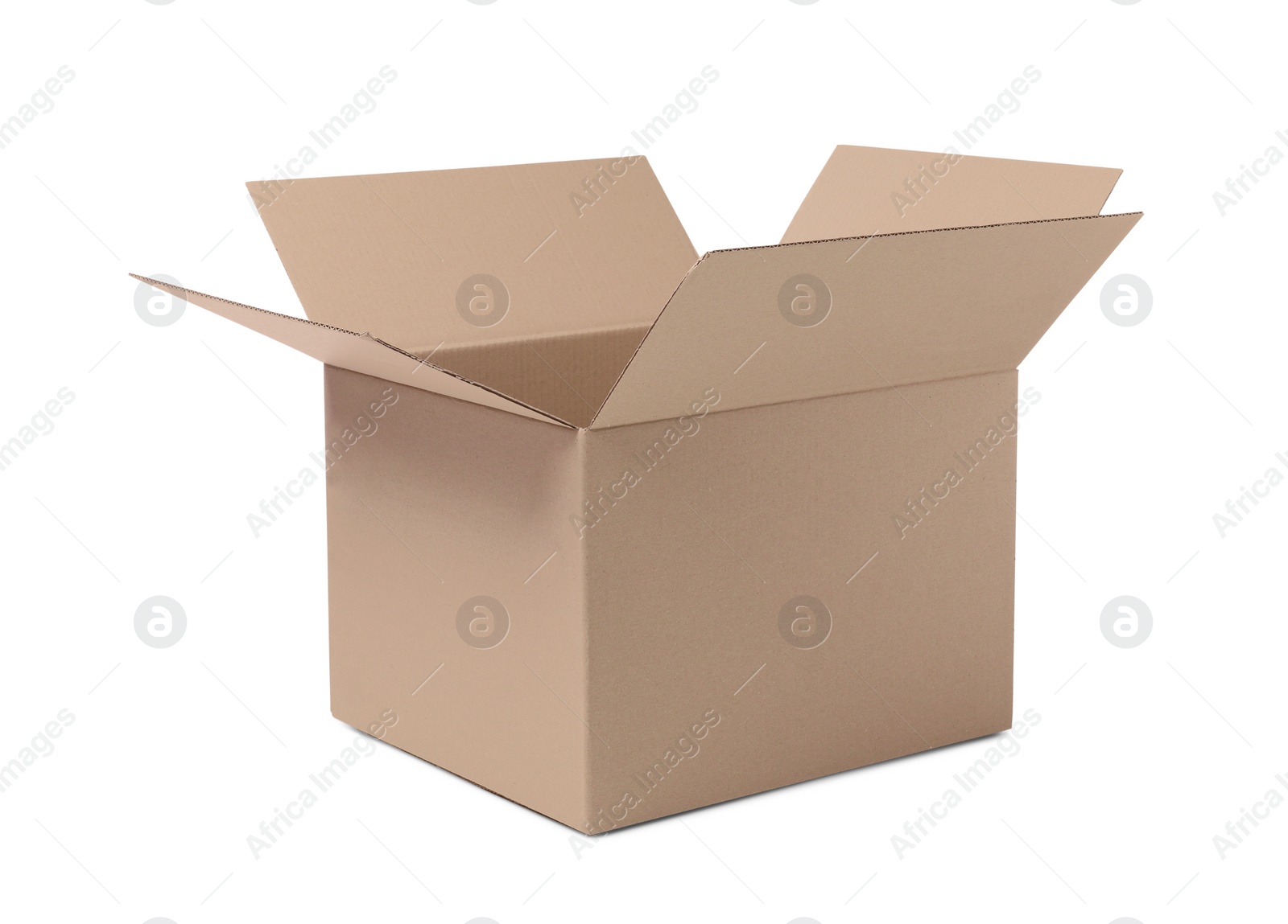 Photo of One open cardboard box isolated on white