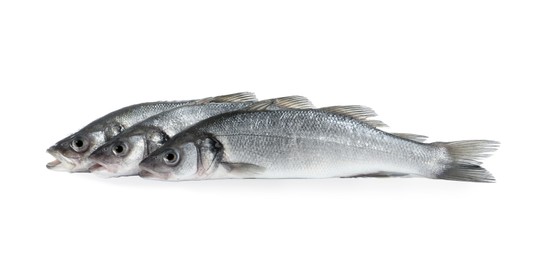 Photo of Fresh sea bass fish on white background