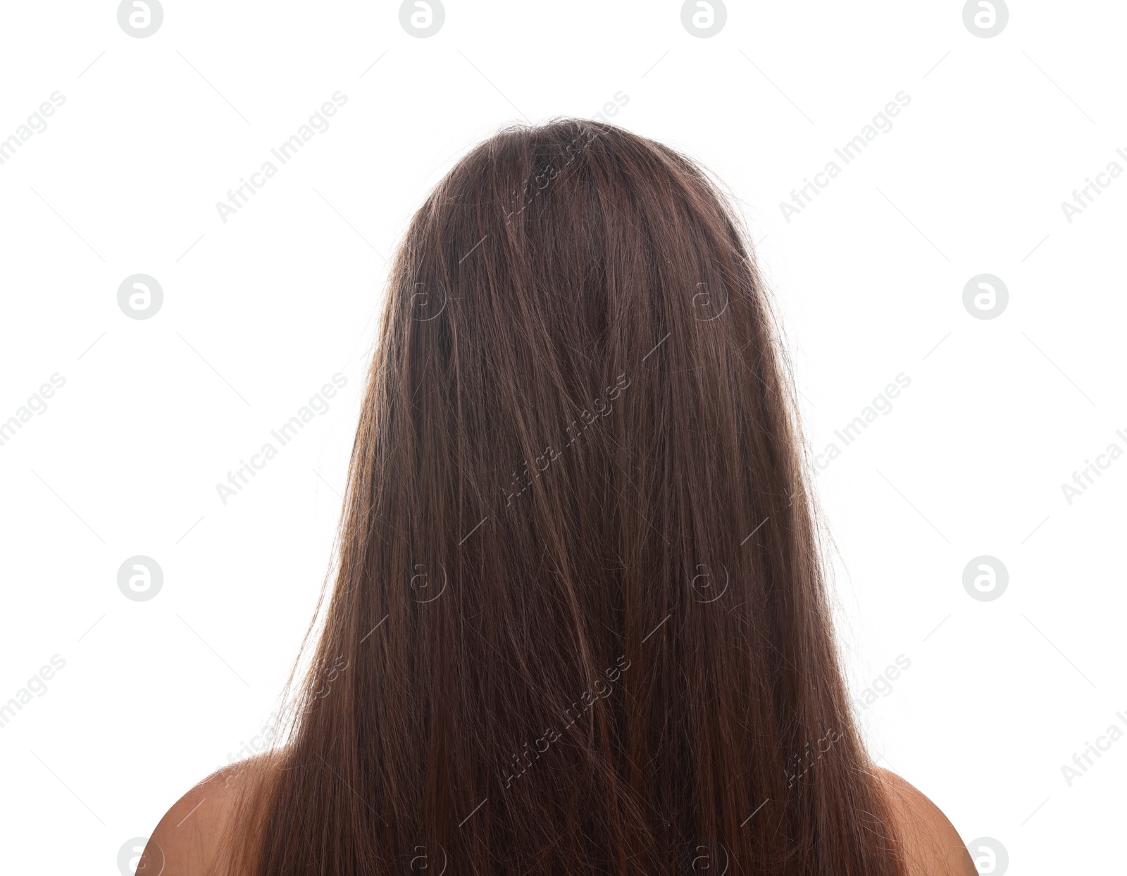 Photo of Woman with damaged hair on white background, back view