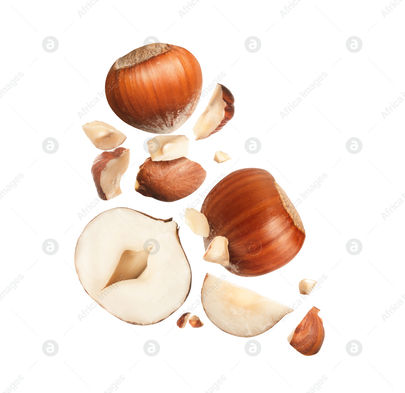 Pieces of tasty hazelnuts falling on white background Image of Pieces of tasty hazelnuts falling on white background