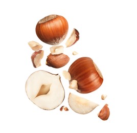 Image of Pieces of tasty hazelnuts falling on white background