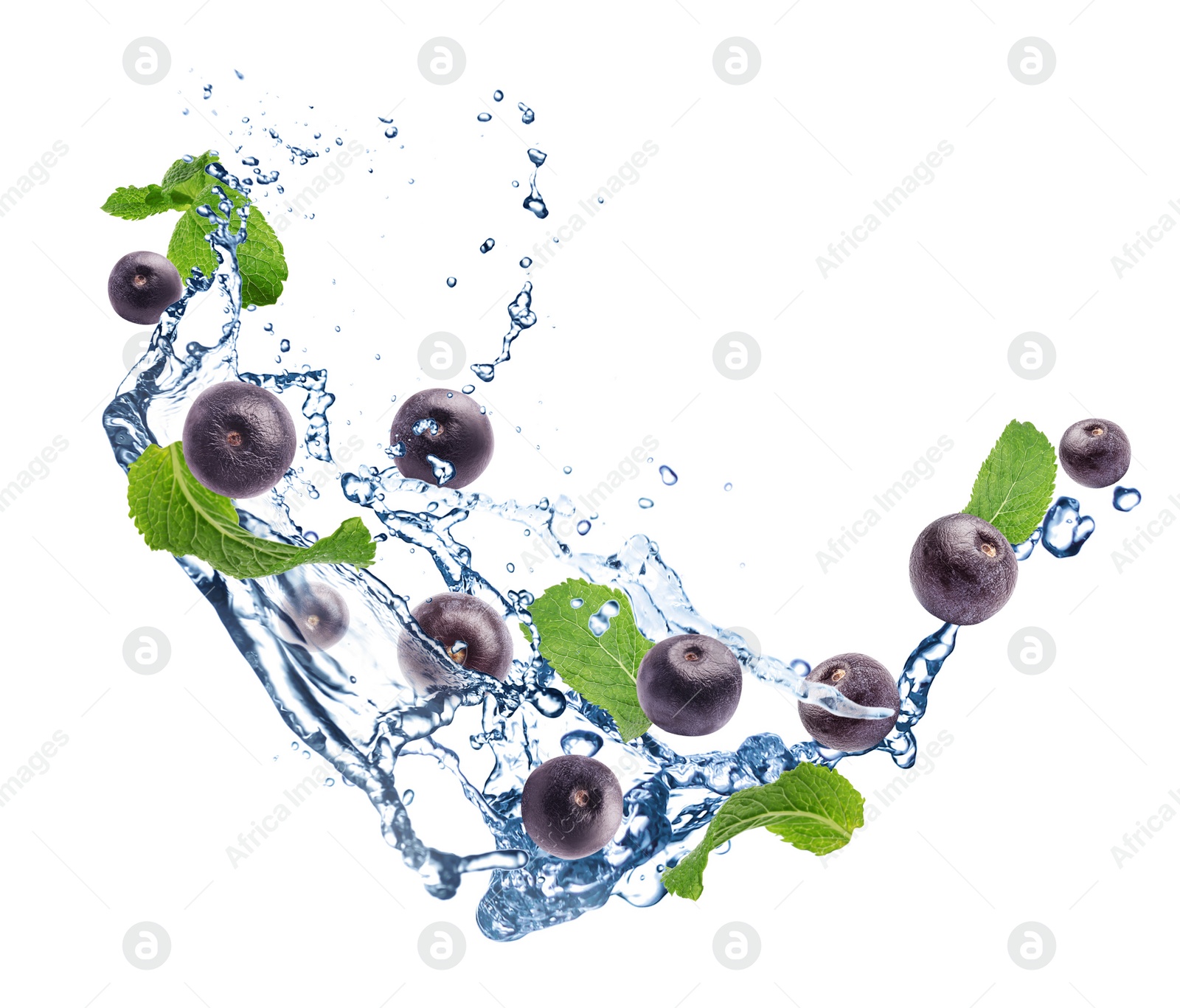 Image of Water splash with acai berries and mint leaves on white background