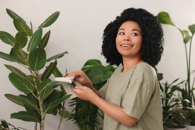 Photo of Happy woman wiping beautiful houseplant leaves near light grey wall