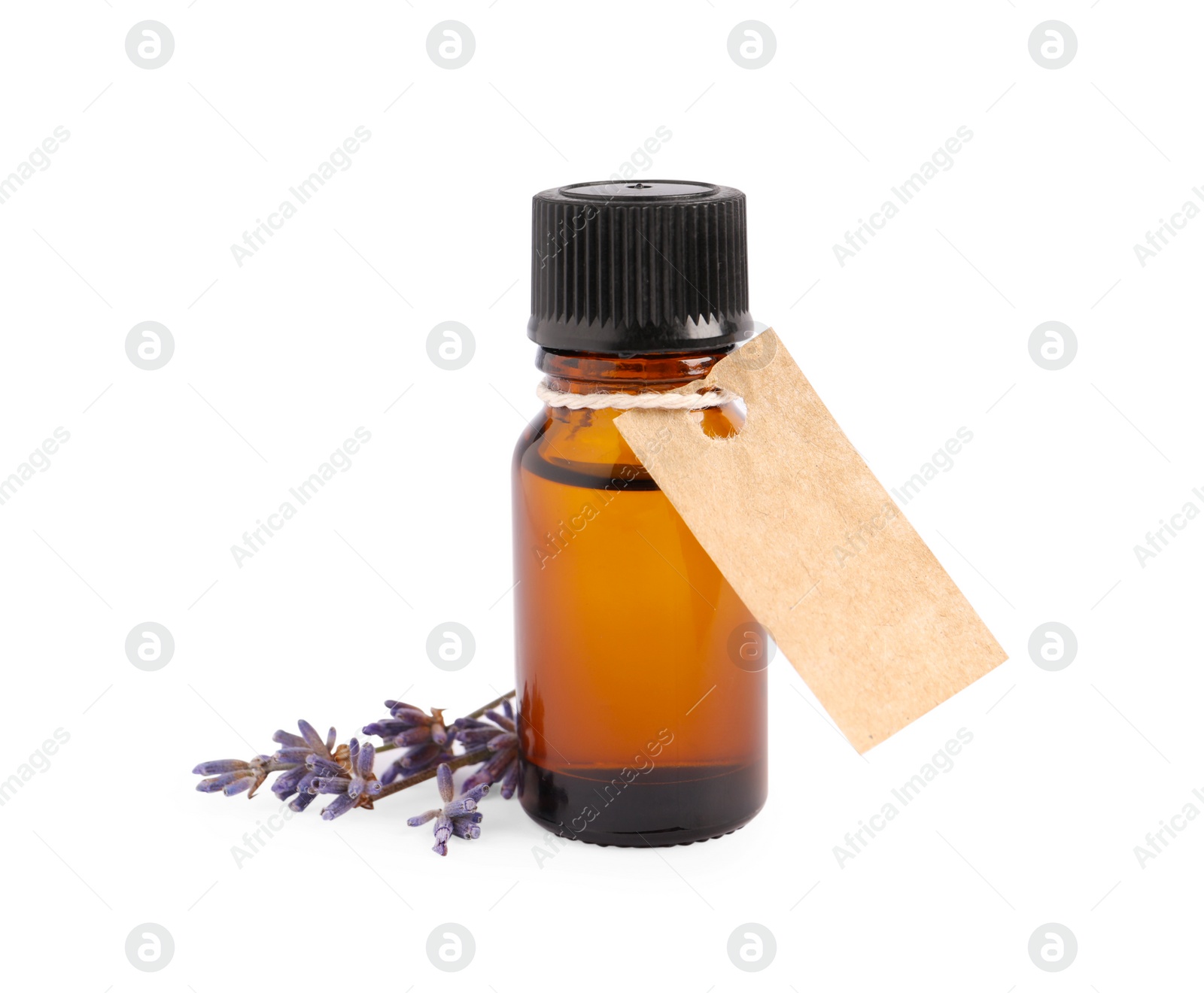 Photo of Bottle of essential oil and lavender flowers on white background