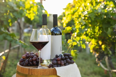 Photo of Composition with wine and ripe grapes on barrel in vineyard