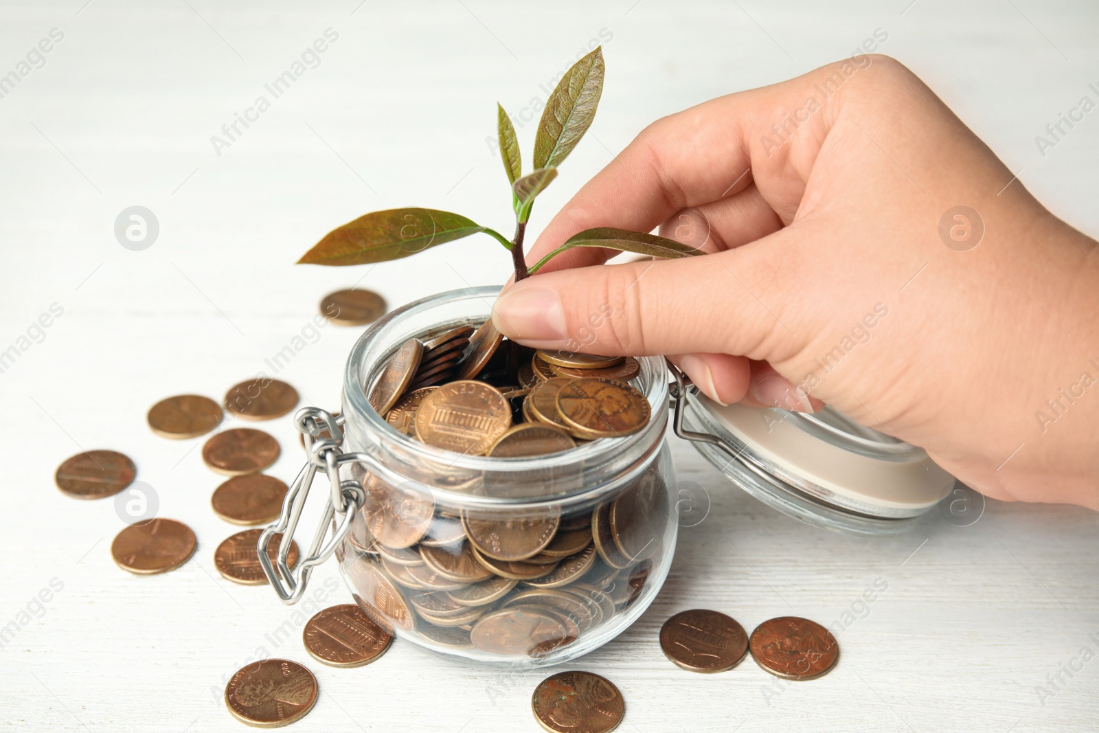 Photo of Woman putting plant into glass jar with coins on white wooden table, closeup