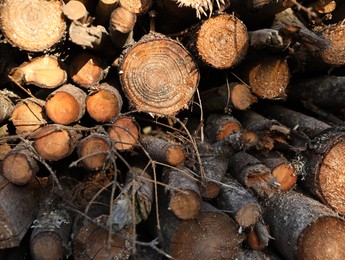 Photo of Pile of dry firewood as background, closeup