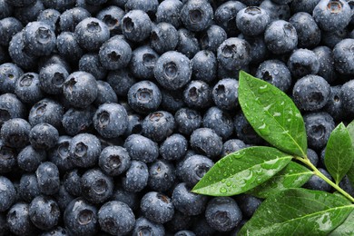 Wet fresh blueberries with green leaves as background, top view