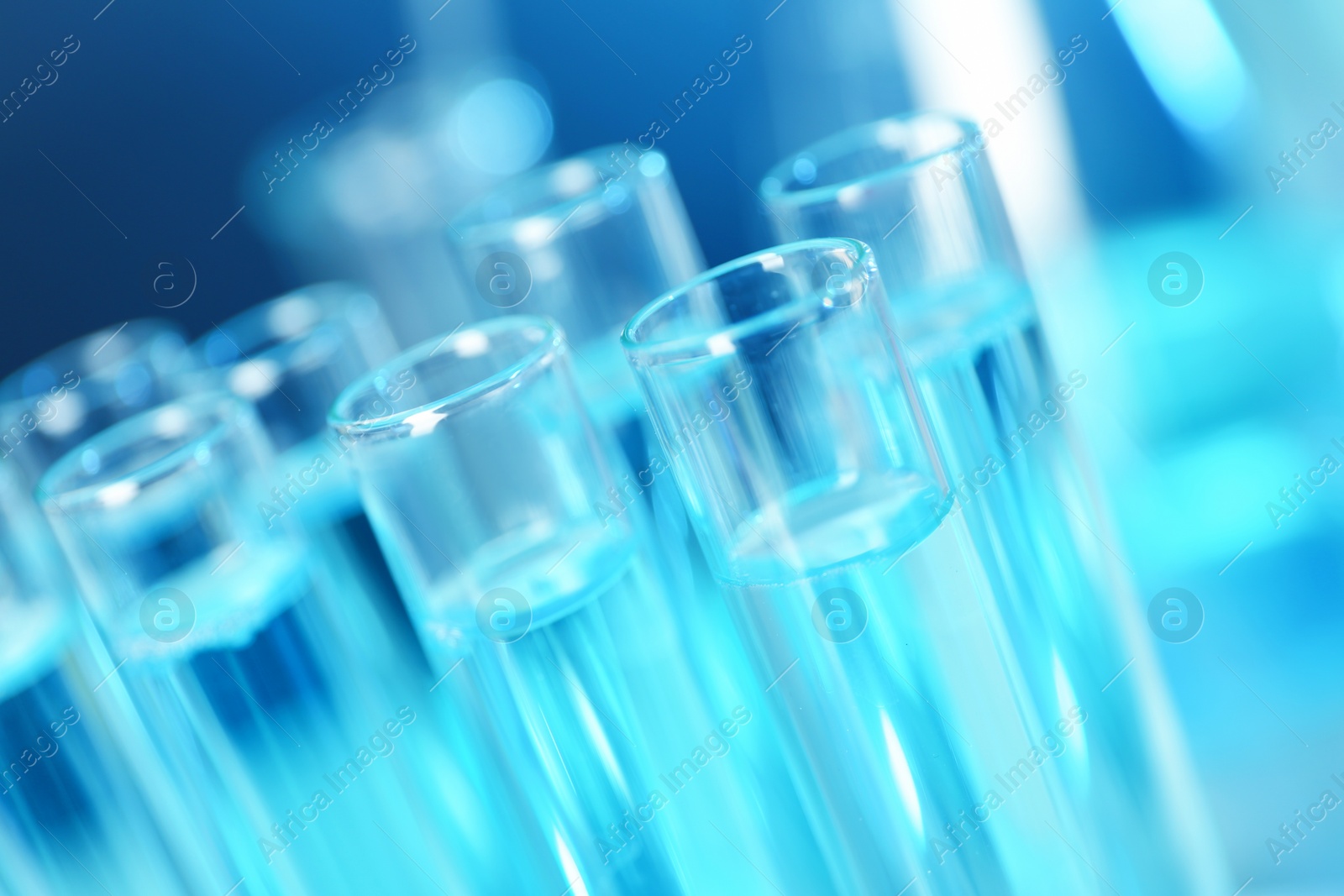 Photo of Test tubes with liquid on blue background, closeup. Solution chemistry