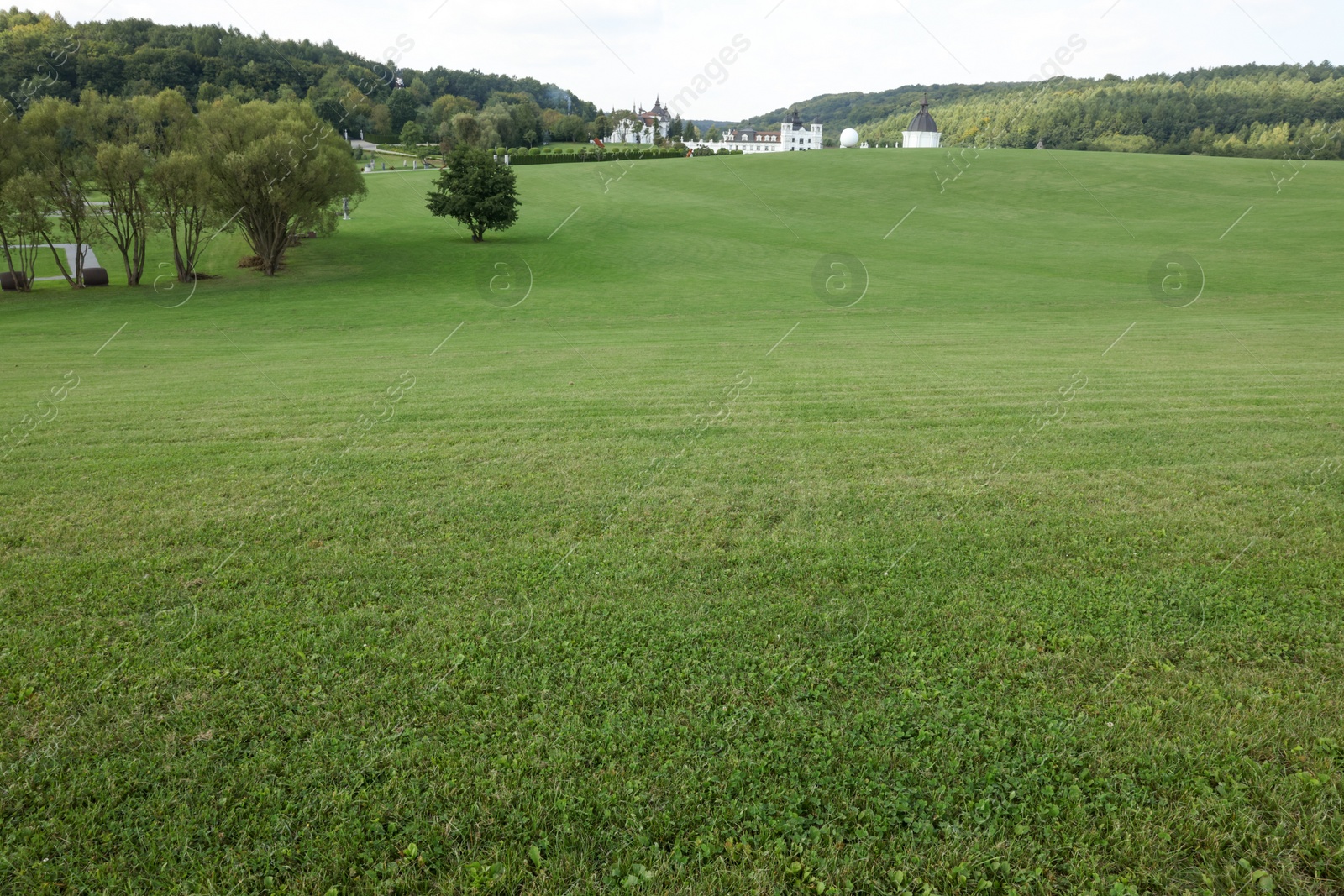 Photo of Beautiful view of lawn with green grass, buildings and trees outdoors