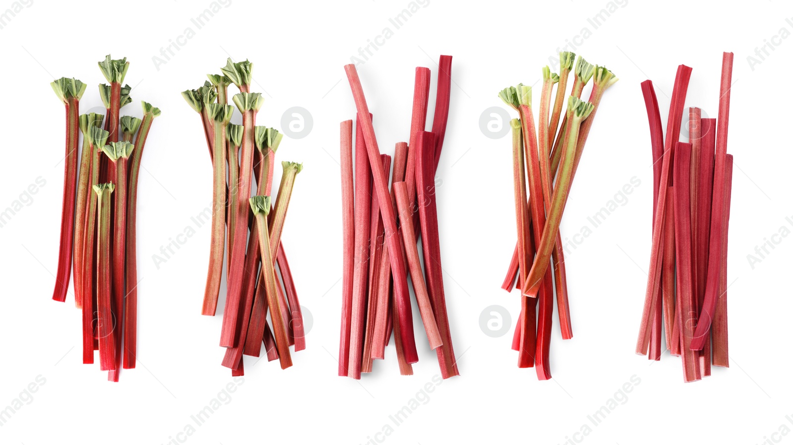 Image of Set with fresh rhubarb stalks isolated on white