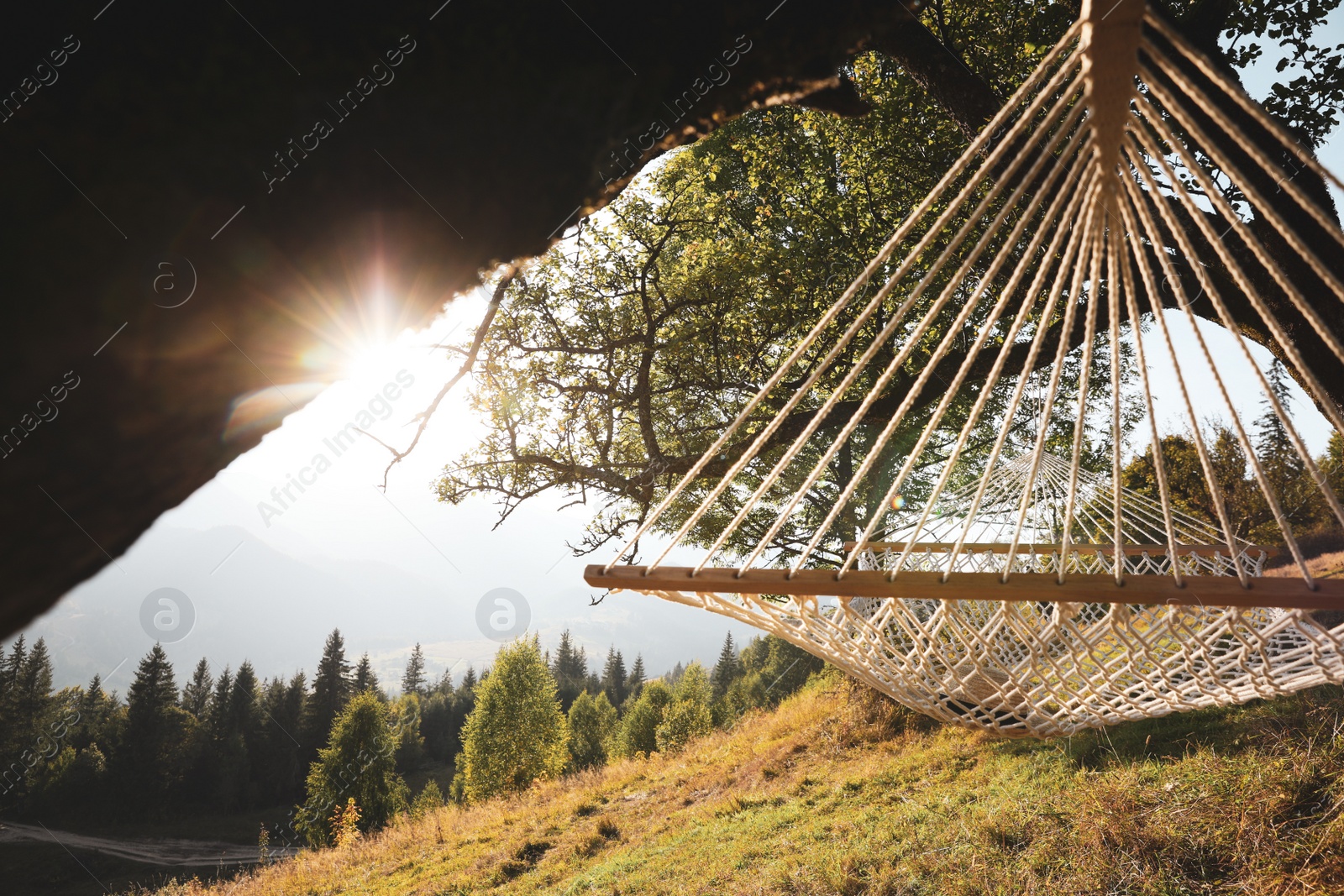 Photo of Comfortable net hammock outdoors on sunny day