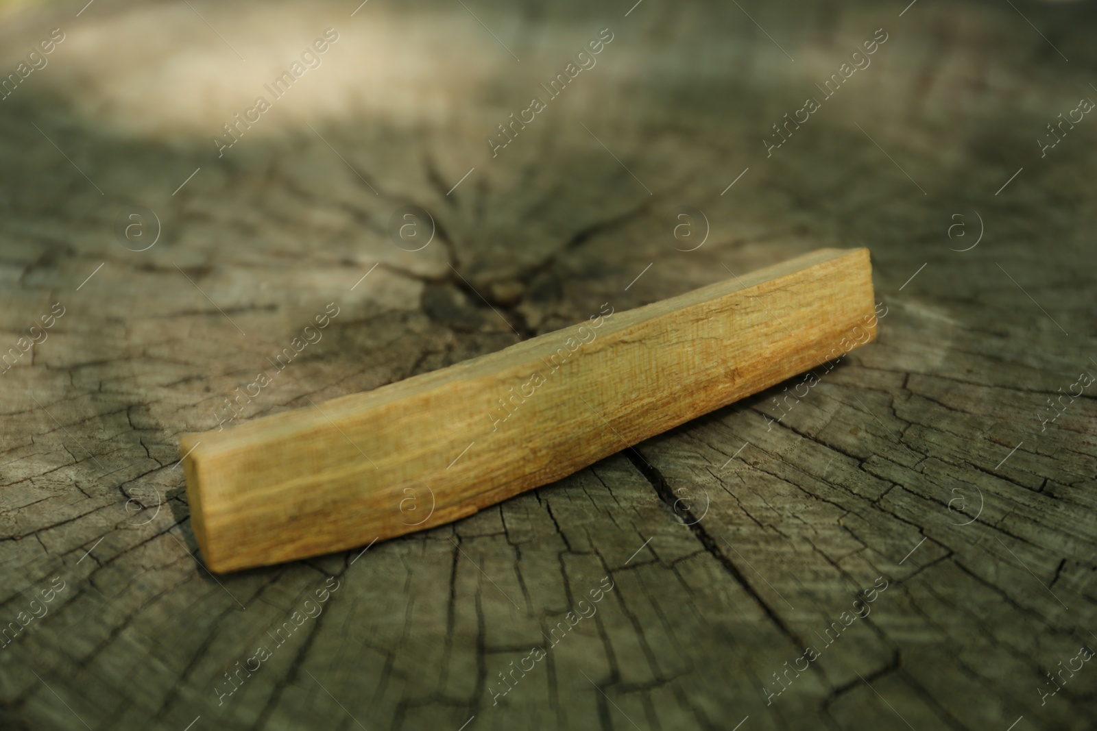 Photo of Palo santo stick on wooden stump, closeup