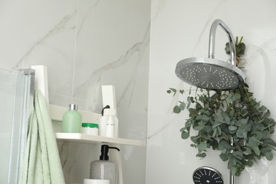 Photo of Branches with green eucalyptus leaves in shower