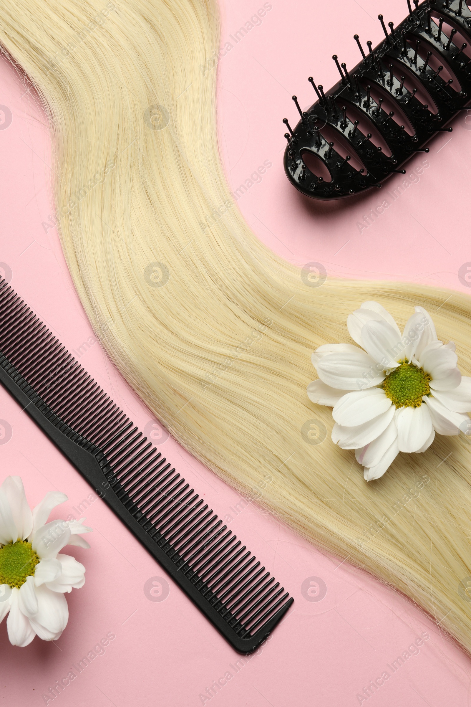 Photo of Hairdresser tools. Blonde hair lock, comb, brush and flowers on pink background, flat lay