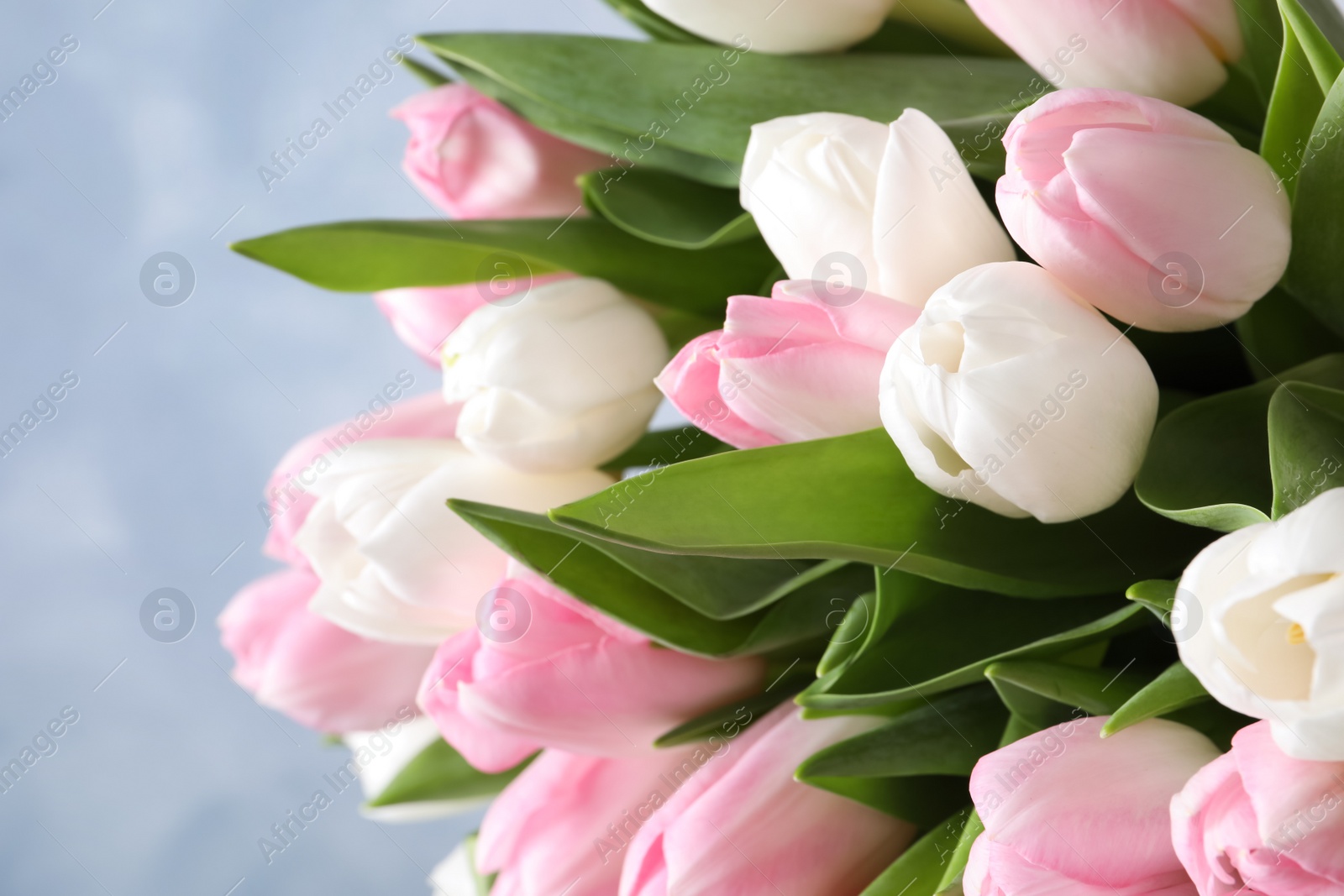 Photo of Big bouquet of beautiful tulips, closeup view