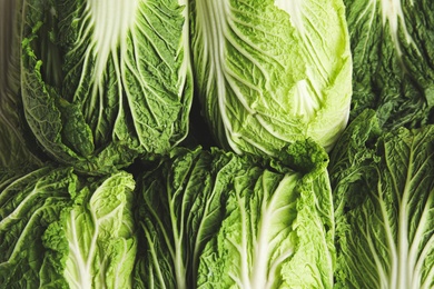 Photo of Fresh ripe Chinese cabbages as background, closeup