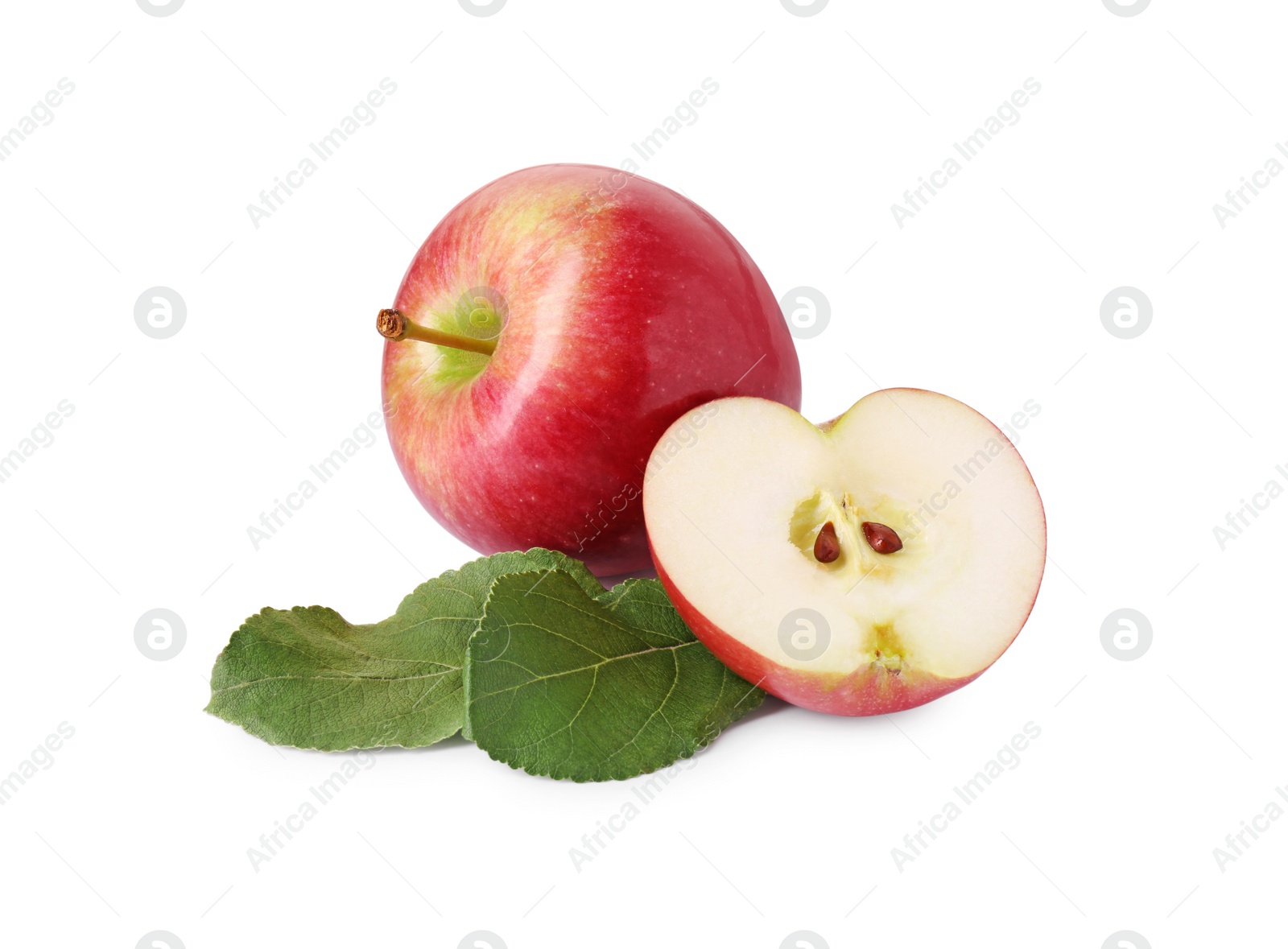 Photo of Whole, cut red apples and leaves isolated on white