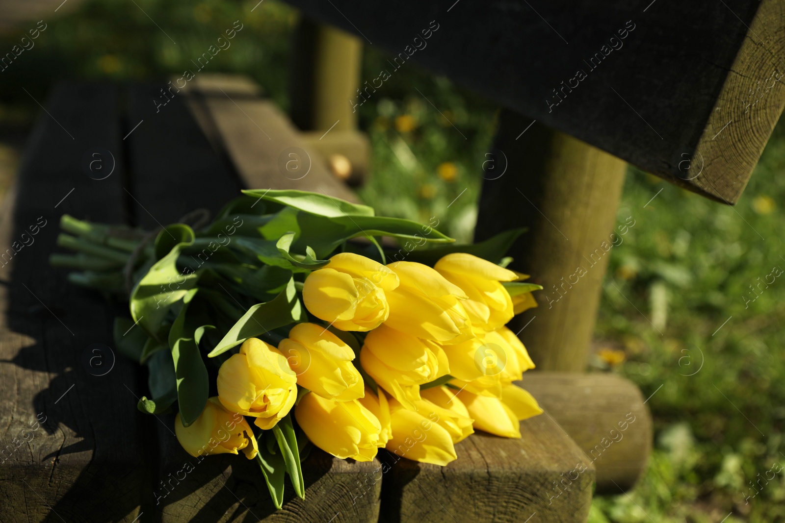 Photo of Bouquet of beautiful yellow tulips on wooden bench outdoors