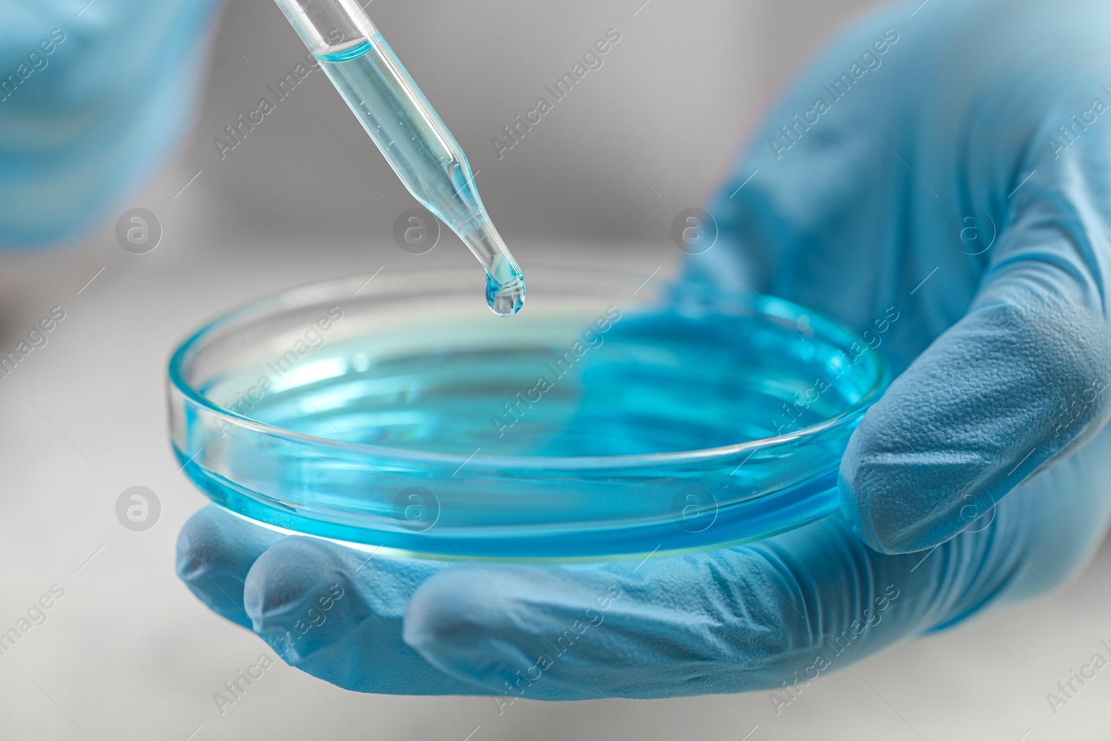 Photo of Scientist dripping liquid from pipette into petri dish on blurred background, closeup