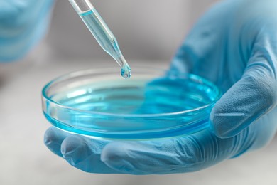 Scientist dripping liquid from pipette into petri dish on blurred background, closeup