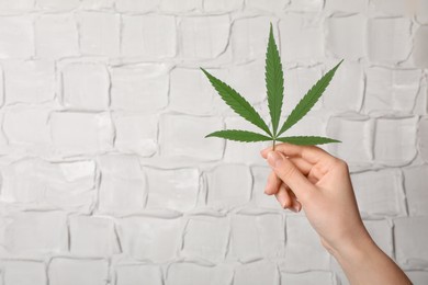Photo of Woman holding hemp leaf near white wall, closeup. Space for text