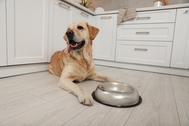 Photo of Cute Labrador Retriever waiting near feeding bowl on floor indoors