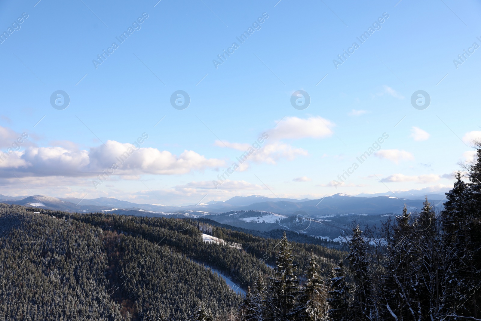 Photo of Beautiful mountain landscape with forest on sunny day in winter