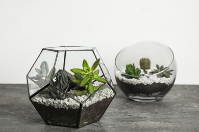 Glass florariums with different succulents on table against white background, space for text