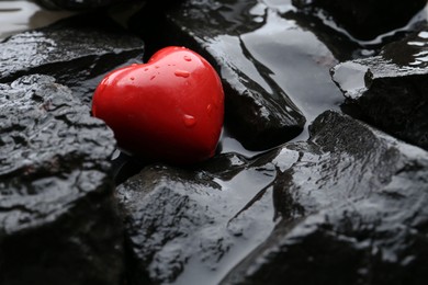 Red decorative heart on stones and water, closeup. Space for text