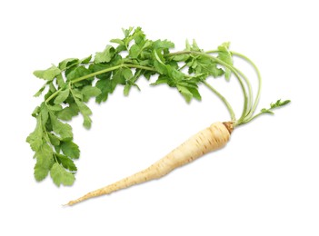 Photo of Tasty fresh ripe parsnip isolated on white, top view