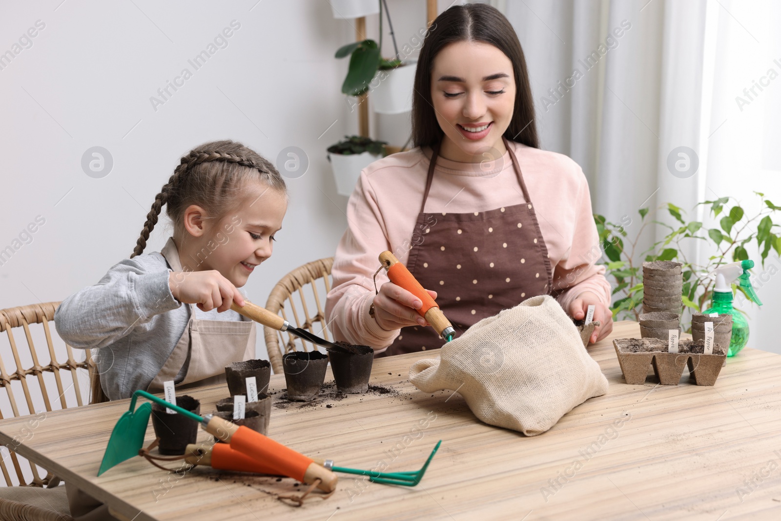 Photo of Mother and her daughter filling pots with soil at wooden table indoors. Growing vegetable seeds