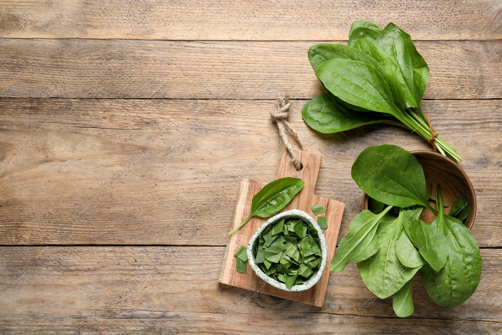 Photo of Broadleaf plantain leaves on wooden table, flat lay. Space for text