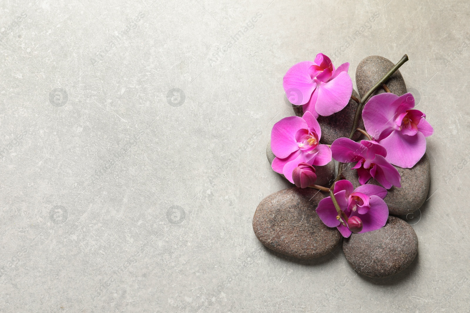 Photo of Flat lay composition with spa stones and orchid flowers on grey background. Space for text