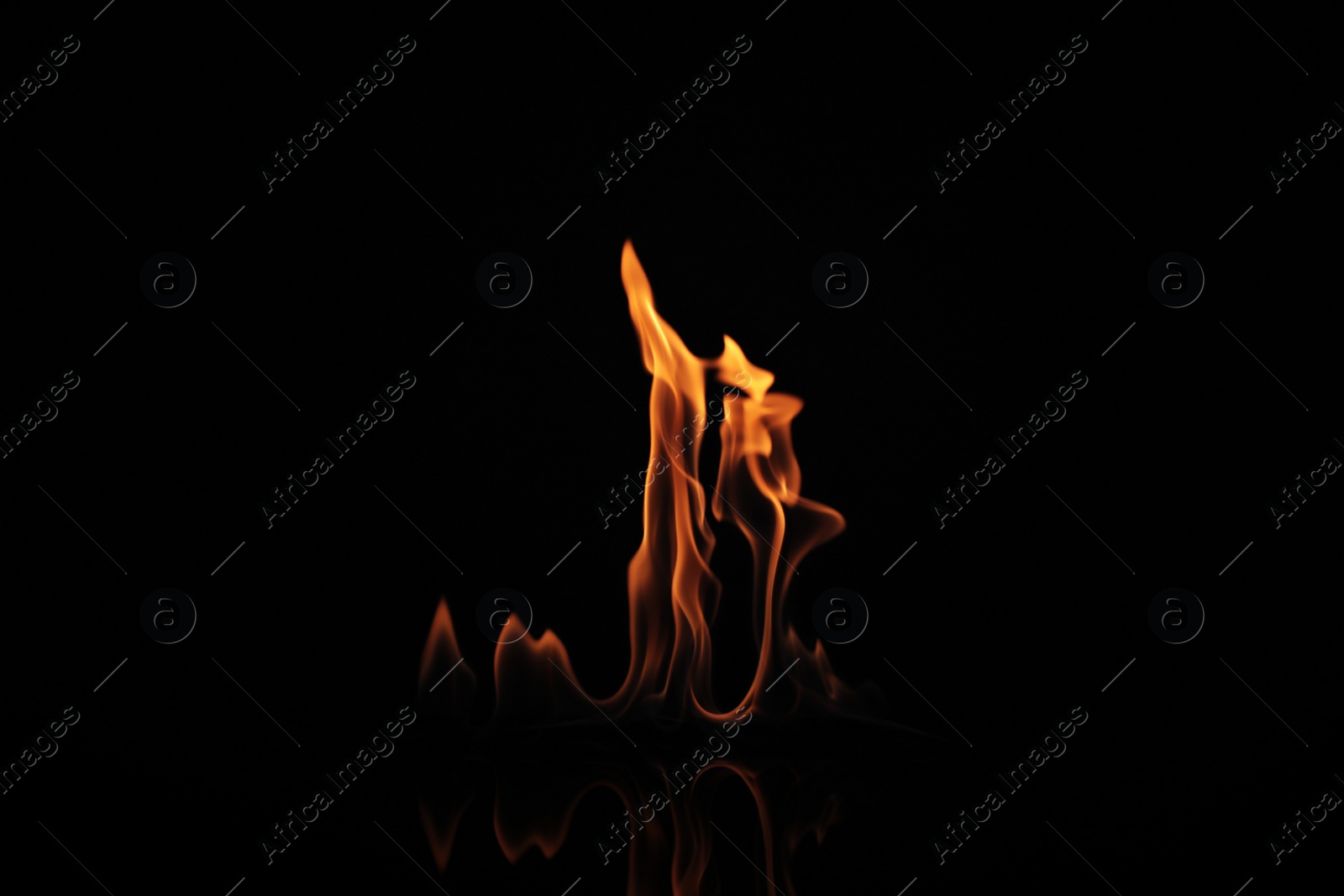 Photo of Beautiful bright fire flames on black background