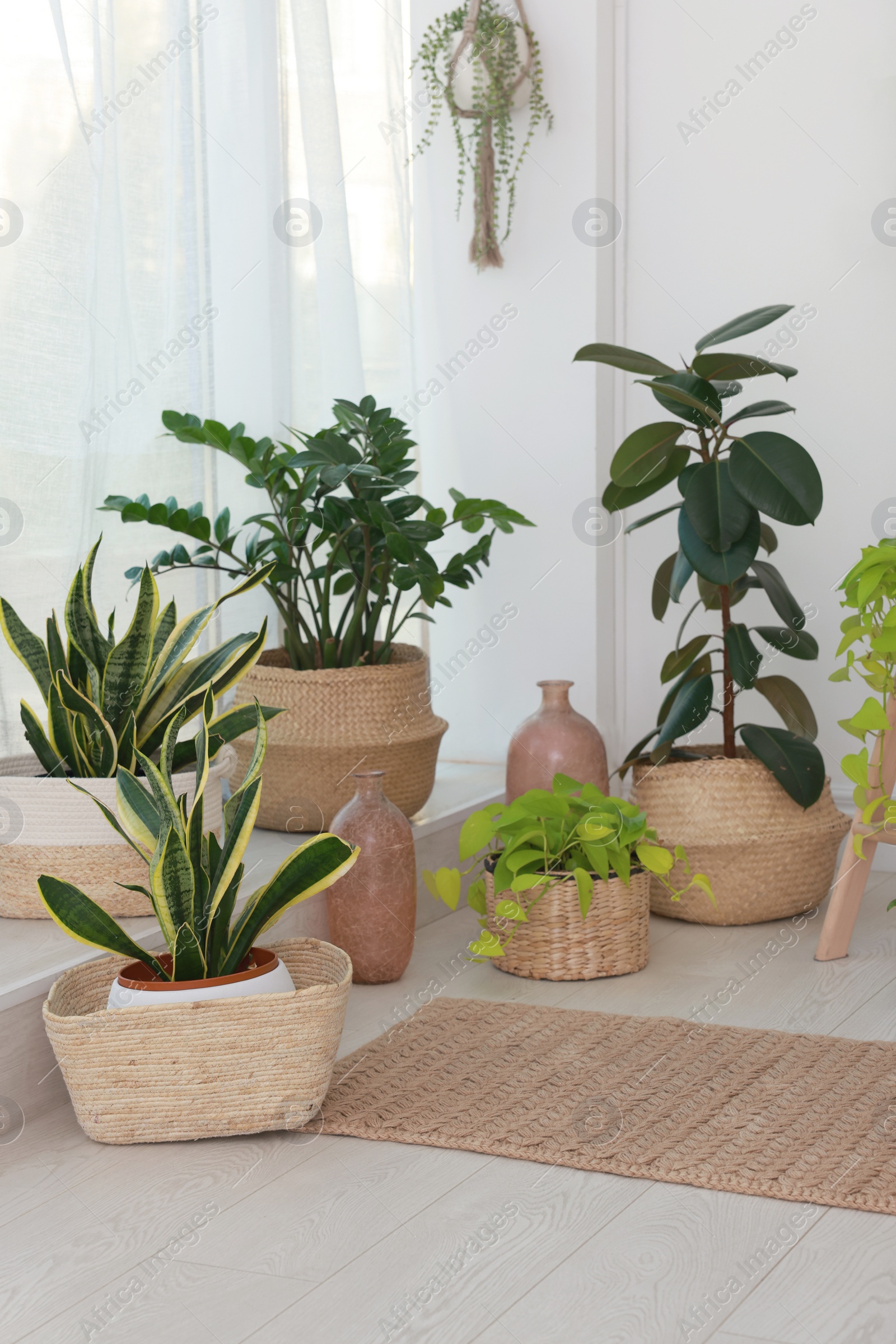 Photo of Many beautiful houseplants in light room. Interior design