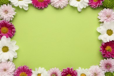 Frame made of beautiful chrysanthemum flowers on green background, flat lay. Space for text