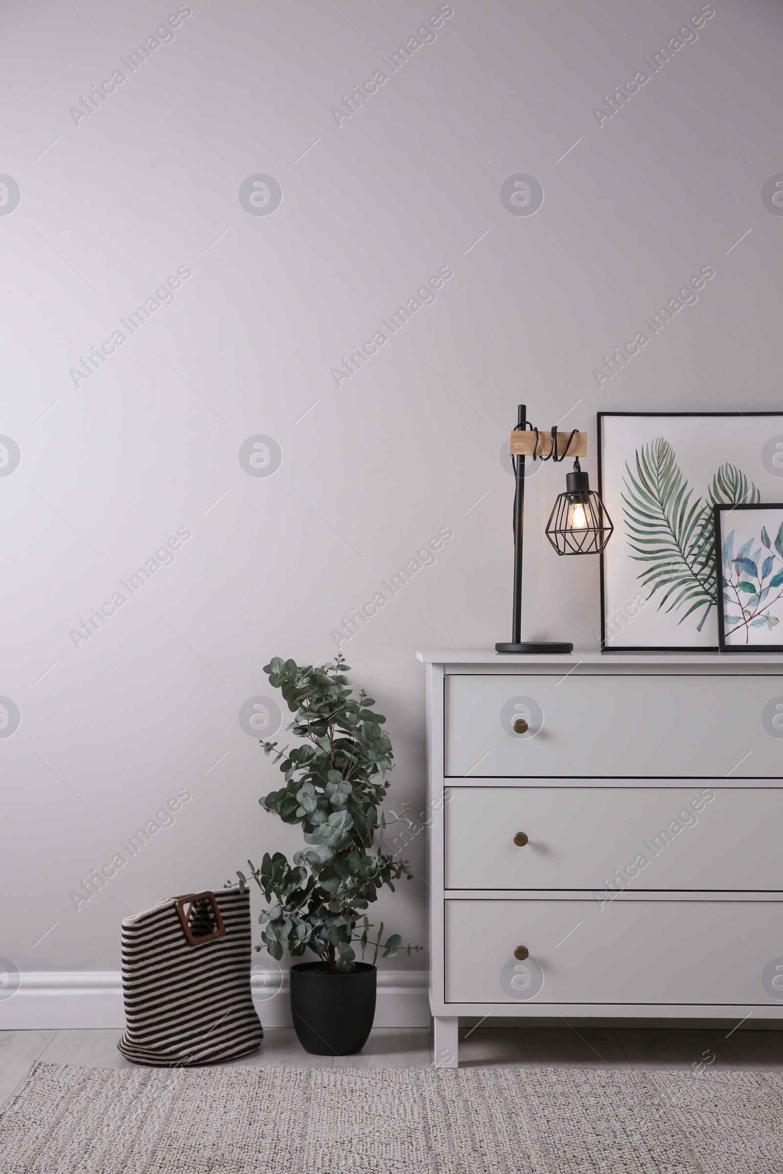 Photo of Stylish room interior with chest of drawers and green eucalyptus tree