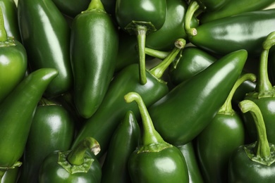 Ripe green chili peppers as background, closeup