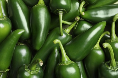 Photo of Ripe green chili peppers as background, closeup