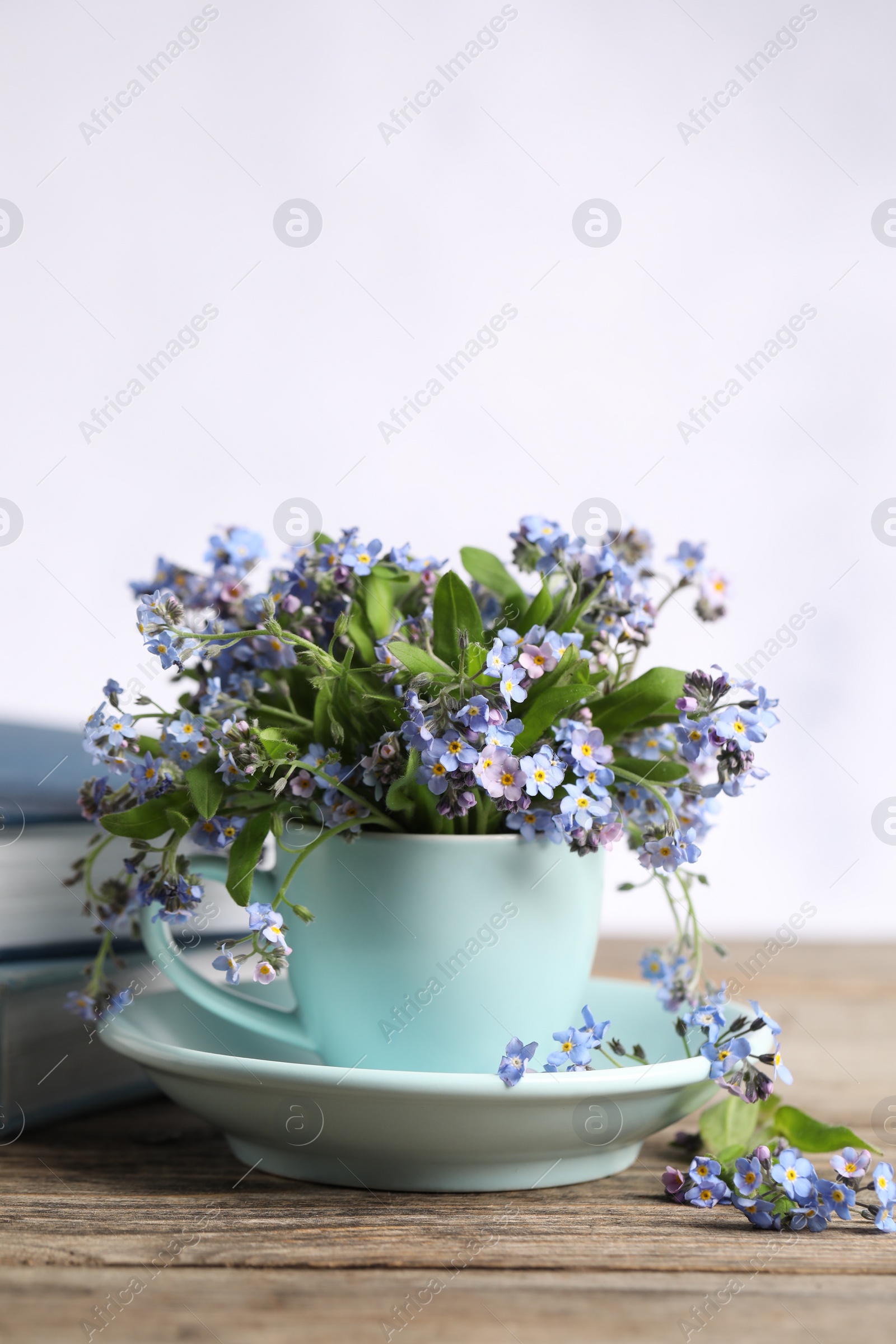 Photo of Beautiful forget-me-not flowers in cup and saucer on wooden table against light background