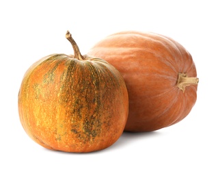 Photo of Fresh raw pumpkins isolated on white. Organic plant