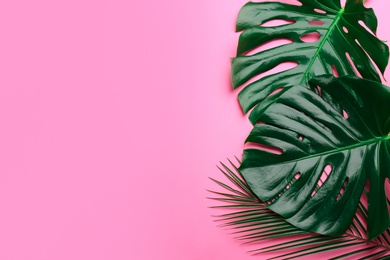Photo of Beautiful monstera and palm leaves on pink background, flat lay with space for text. Tropical plants