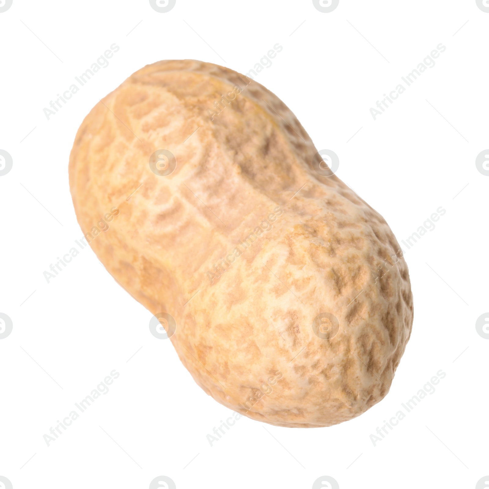 Photo of One fresh unpeeled peanut isolated on white